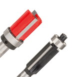 ดอกเซาะเกลา