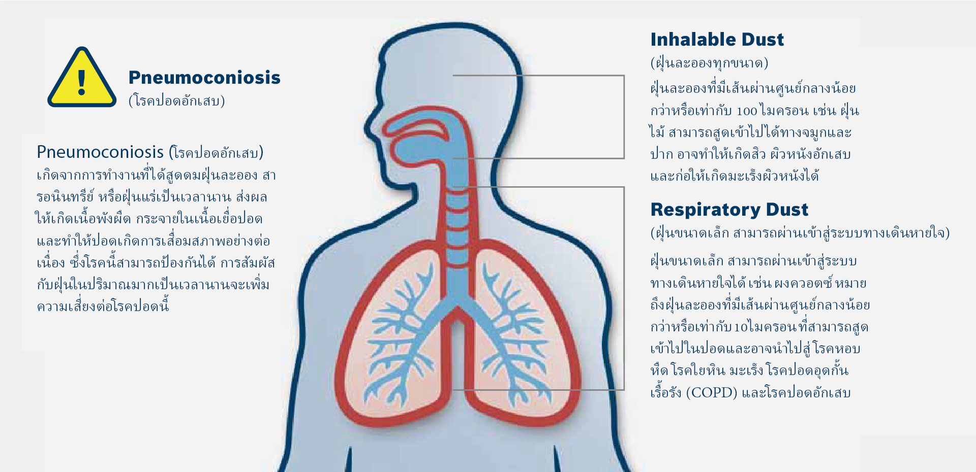 แผนภาพของร่างกายมนุษย์ที่มีทางเดินหายใจและประเภทของฝุ่น.